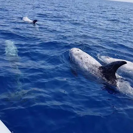 Casa Mita Bed & Breakfast 4*