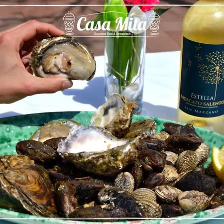 Nocleg ze śniadaniem Casa Mita 4*