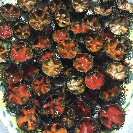 Casa Mita 4* Pulsano