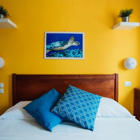 Casa Mita