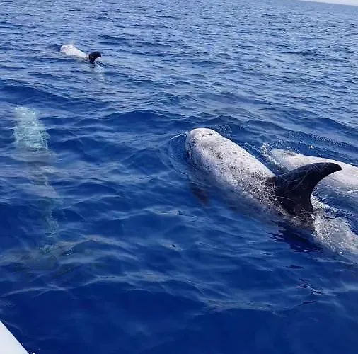 Casa Mita Bed & Breakfast 4*